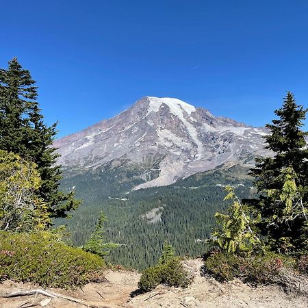 New Modern Cabin! 5Mi To Mt Rainier National Park! Hot Tub & Wifi Ashford Exterior foto